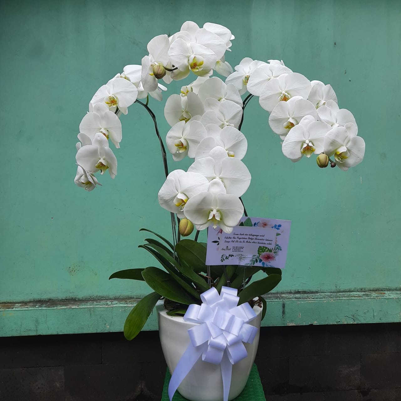 WhatsApp Image 2021-12-18 at 16.25.17